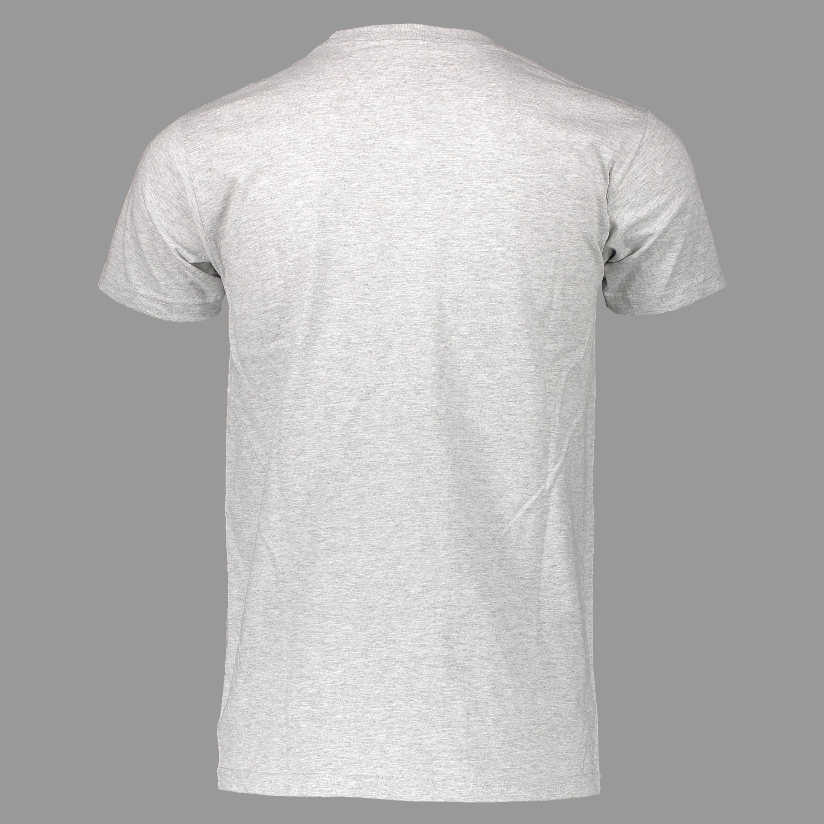 Grey Logo T-Shirt by NSC