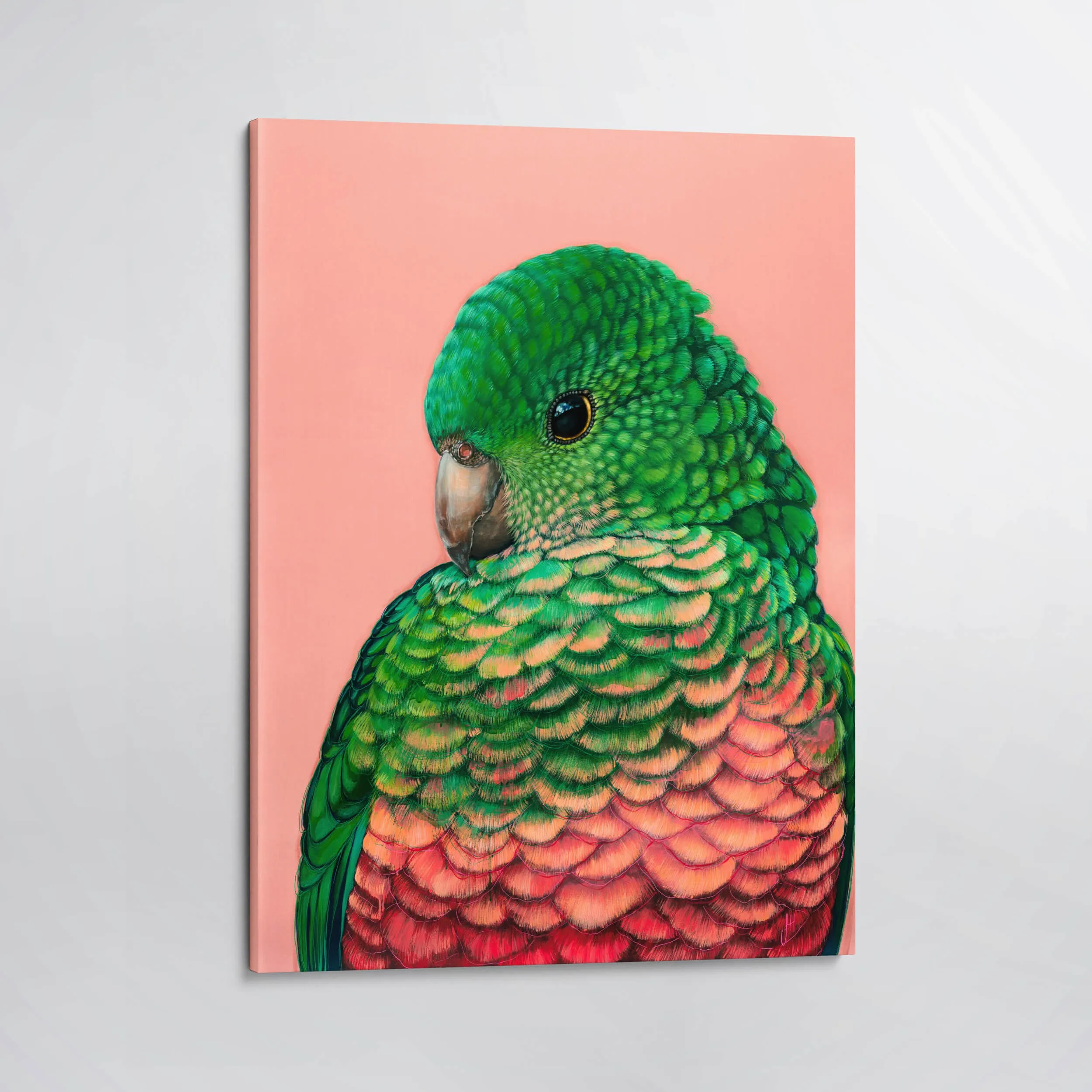 Queenie King Parrot Canvas Print